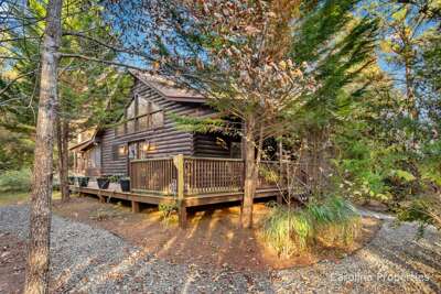 Welcome to Fiona's Forest Haven