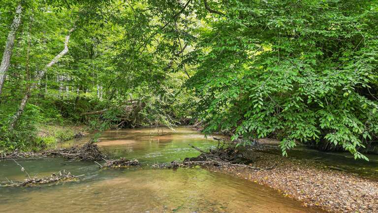 Community Park for your enjoyment