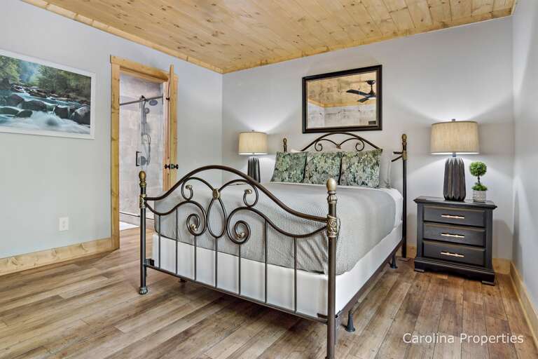 Main Level bedroom with queen bed