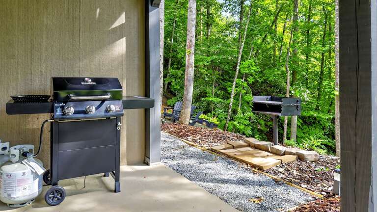 Gas and Charcoal grill