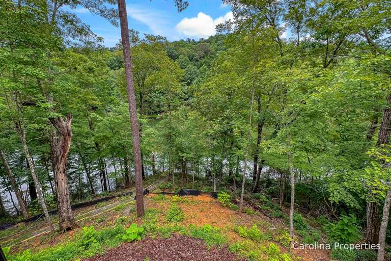 Surrounded by nature