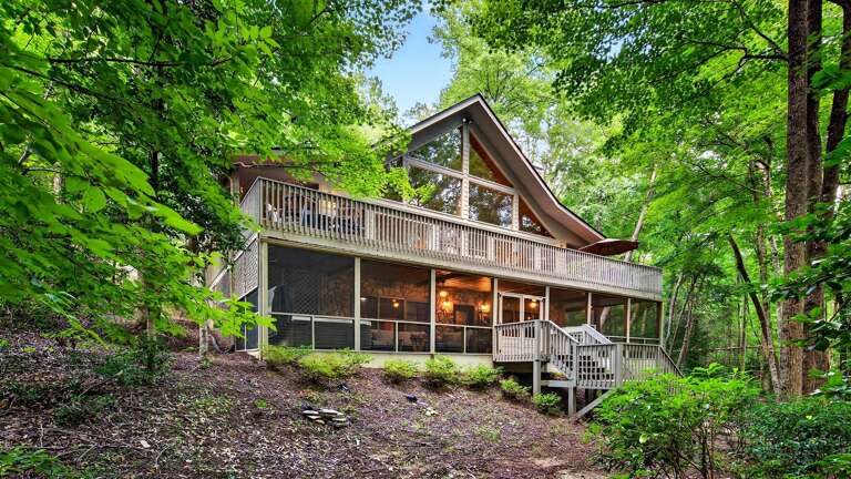 Additional view of the cabin from the back yard.