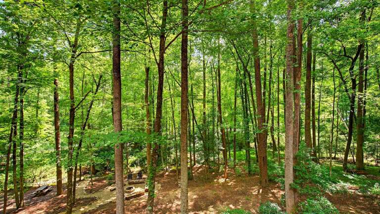 Surrounded by nature