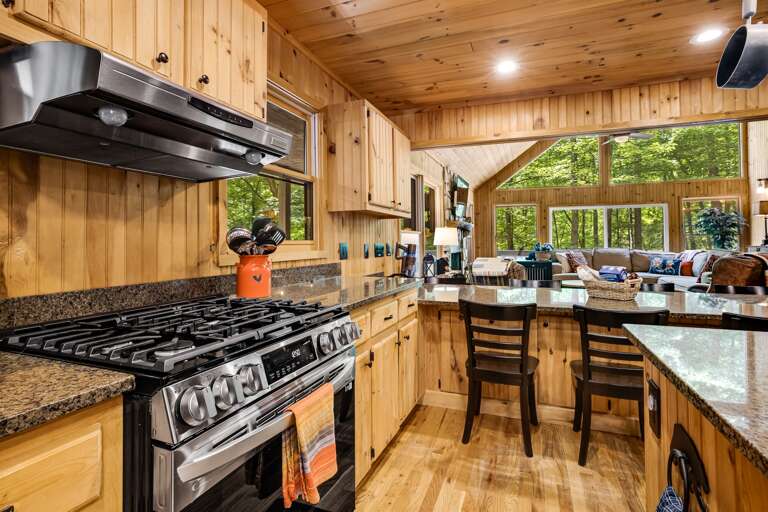 Large gas stove with hood