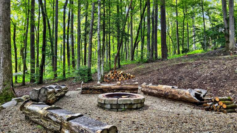 Additional view of firepit.