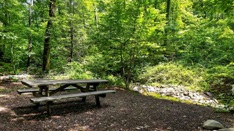 Picnic table by the creek