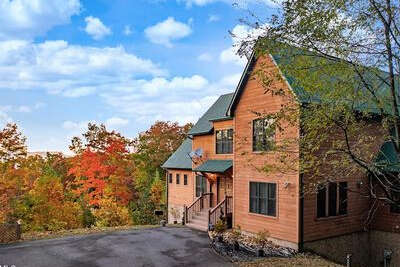 Checkered Bear Lodge