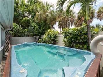 Paradise Palms