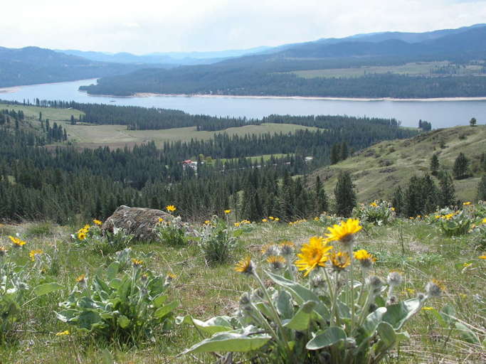 Lake Roosevelt properties for Sale