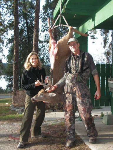 Lots of whitetail deer