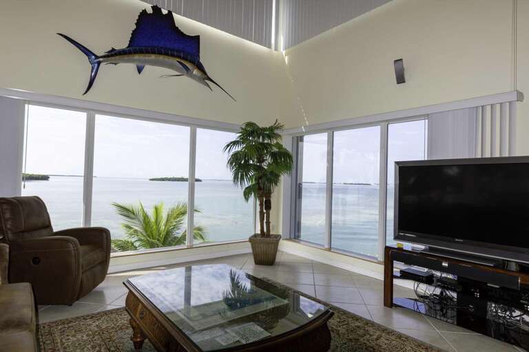 View from the Living Area