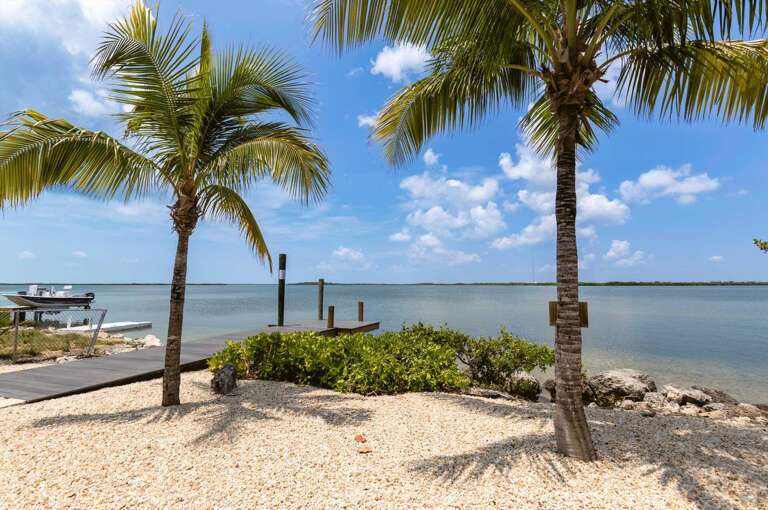 Beachfront Vacation Rental With Palm Trees Beachfront Vacation Rental With Palm Trees