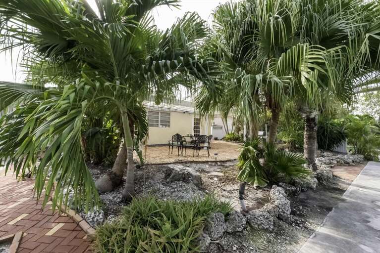 Tropical Garden With Seating Area And Palm Trees