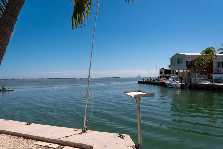 Waterfront View With Boat And Palm Tree