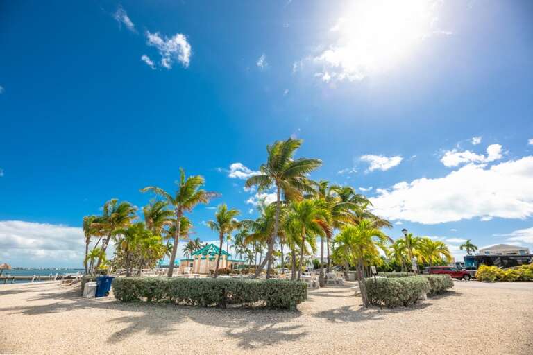 Sunny Beach With Palm Trees And Blue Sky Sunny Beach With Palm Trees And Blue Sky