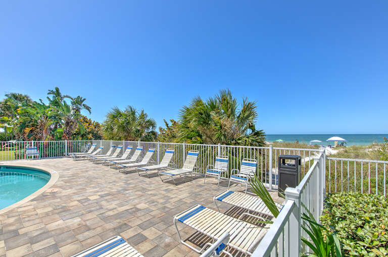 Beachfront pool deck with tropical palms and ocean views creates the perfect seaside retreat backdrop.