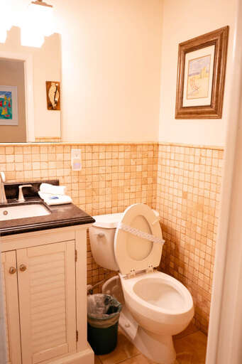 Bathroom 3 (loft area)