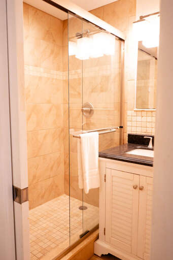 Bathroom 3 (loft area)