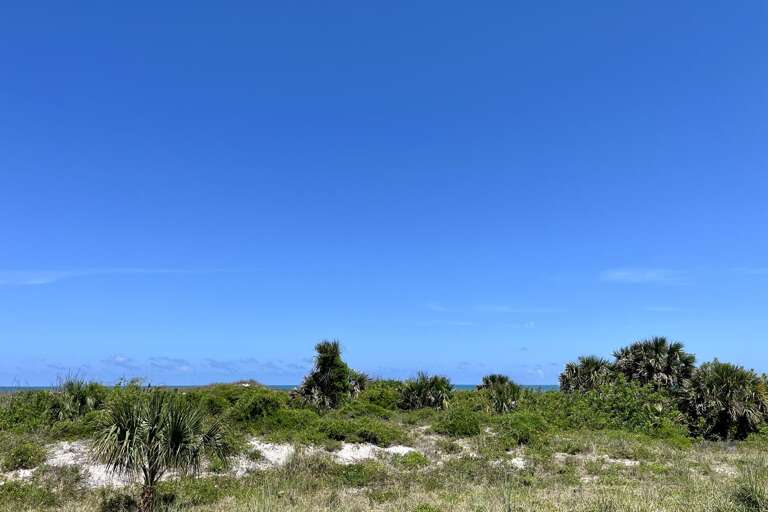 Oceanfront view from patio