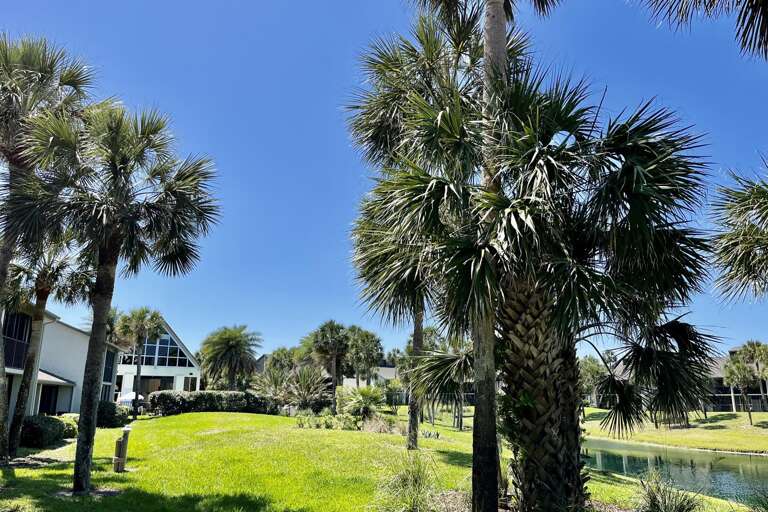 Village Del Lago pool view (to the left)