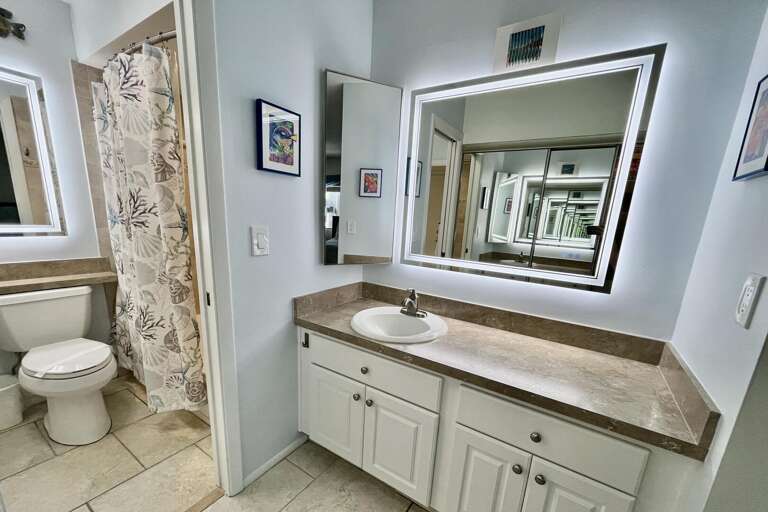 Bathroom 1 (en suite)