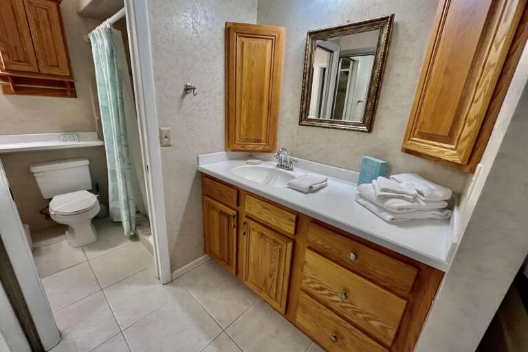 Bathroom 1 (en suite)