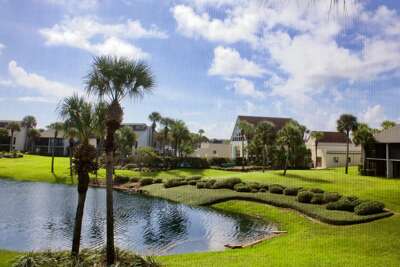 view from enclosed lanai