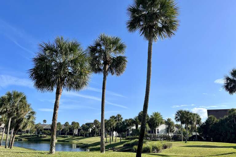 Clubhouse pool and Del Lago lagoon view from lanai