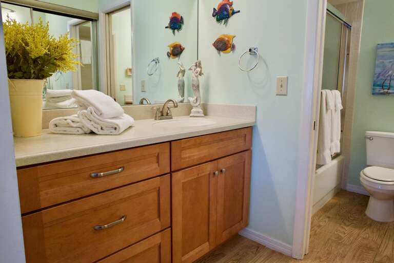 Bedroom 1 en suite bath