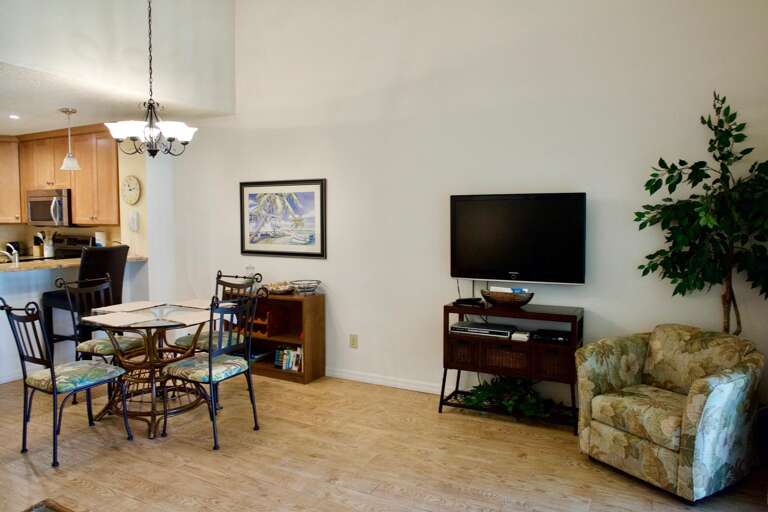 Living / Dining area