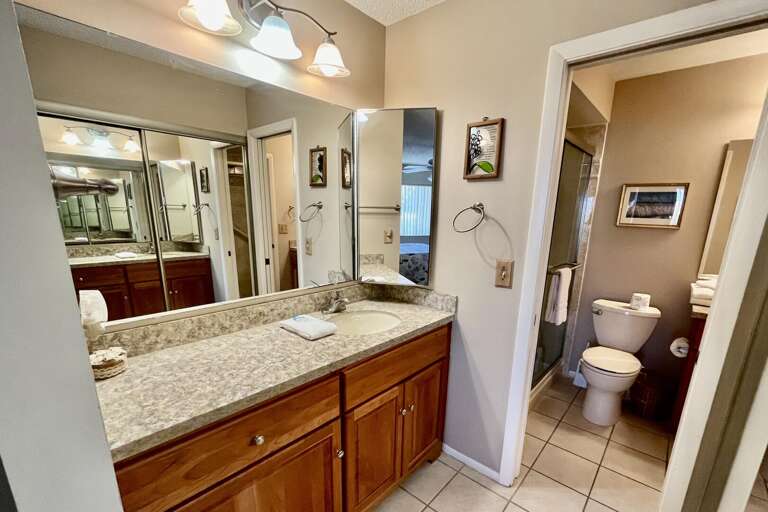 Bathroom vanity area (en suite)