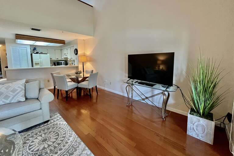 Living / Dining area