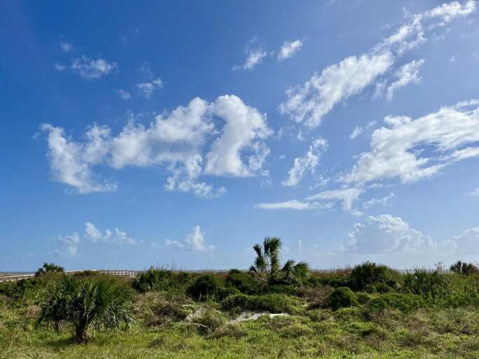 Oceanfront view from patio