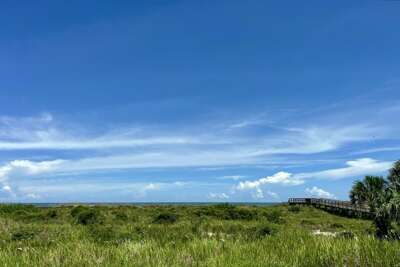 Oceanfront view from patio