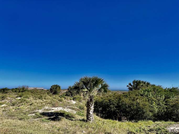 Oceanfront view from patio