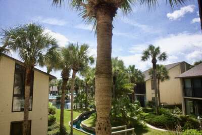 view from screened lanai