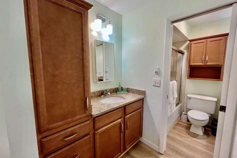 Bathroom 1 (en suite)