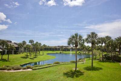 view from screened lanai