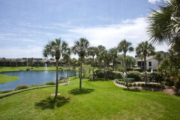 view from screened lanai