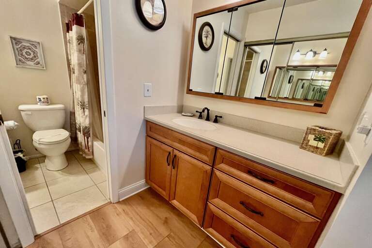 Bathroom 1 (en suite)