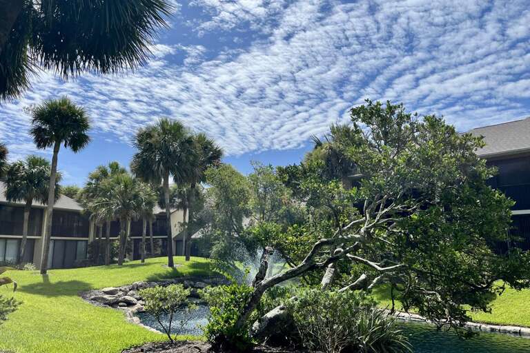 Del Prado lagoon view