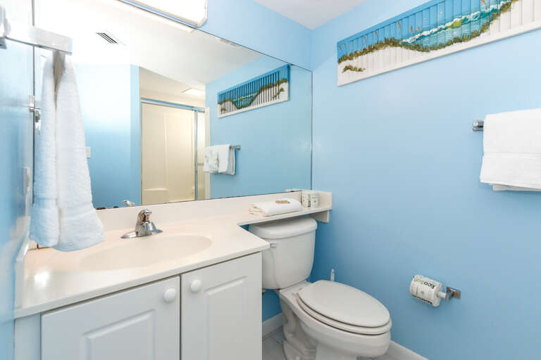 Tranquil guest bath  Tranquil guest bath