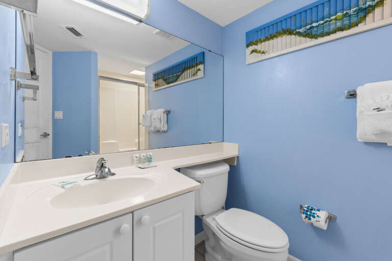 Tranquil guest bath 