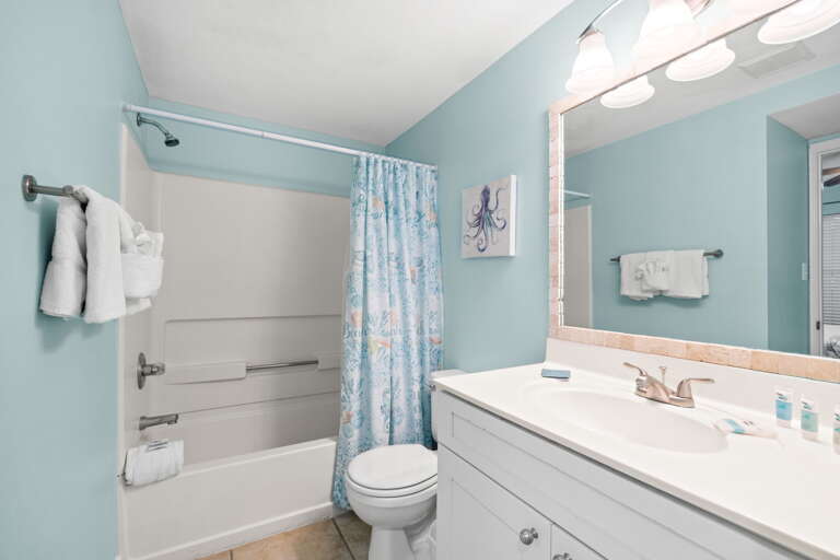 With shower/tub combo