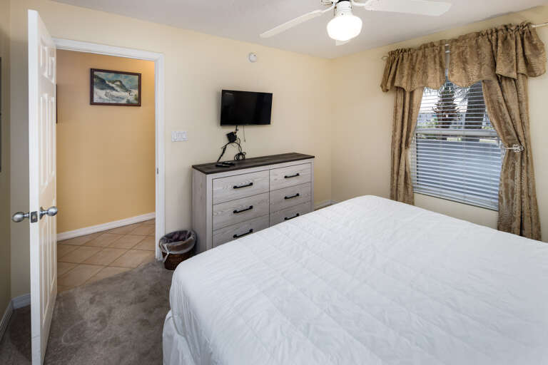 lTV for your viewing pleasure