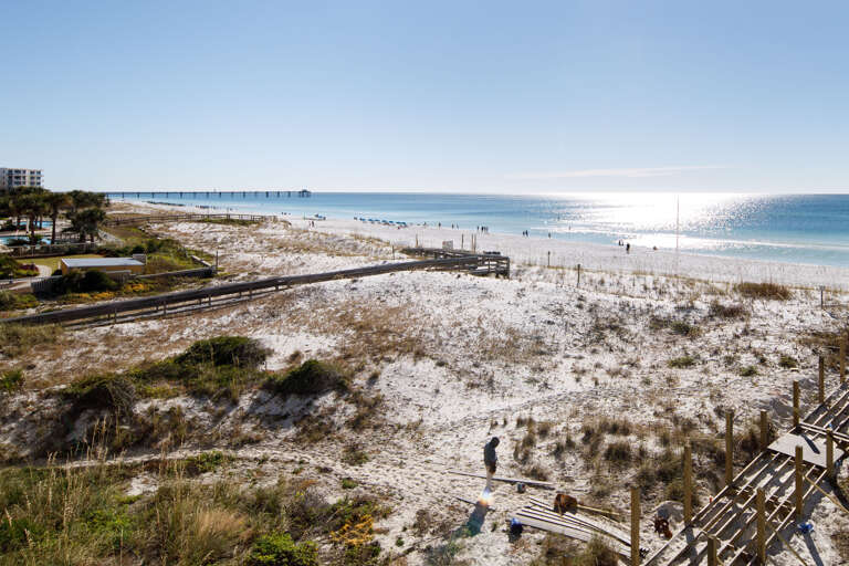 Dunes & Beaches....they go together to make up parts of the Emerald Coast!  