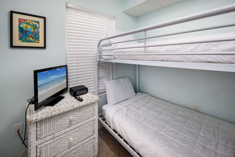 A television for your entertainment