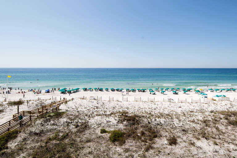 Sunshine & Blue Skies for miles!