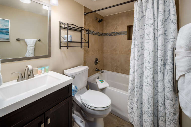 Shower/tub combo in this master bath