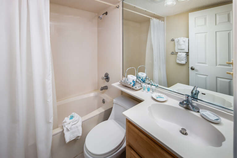 Shower/tub combo featured in the guest bathroom